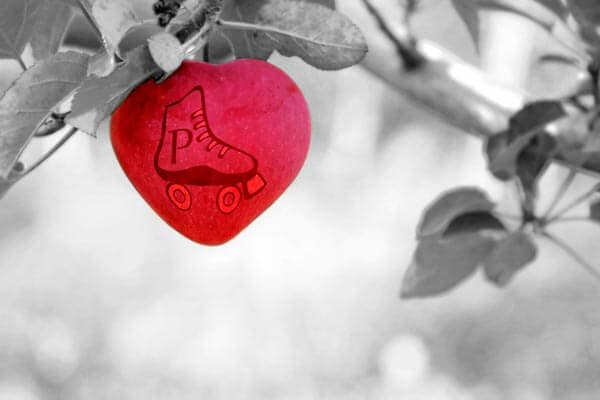 arbol amor arbol amor